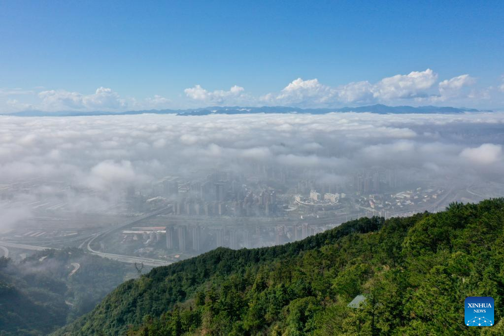 Advection fog on Guling Hill, SE China
