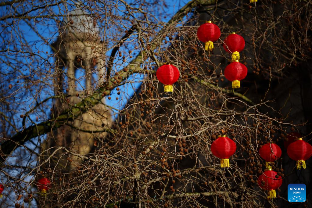 Chinese red lanterns adorn streets in Manchester, Britain