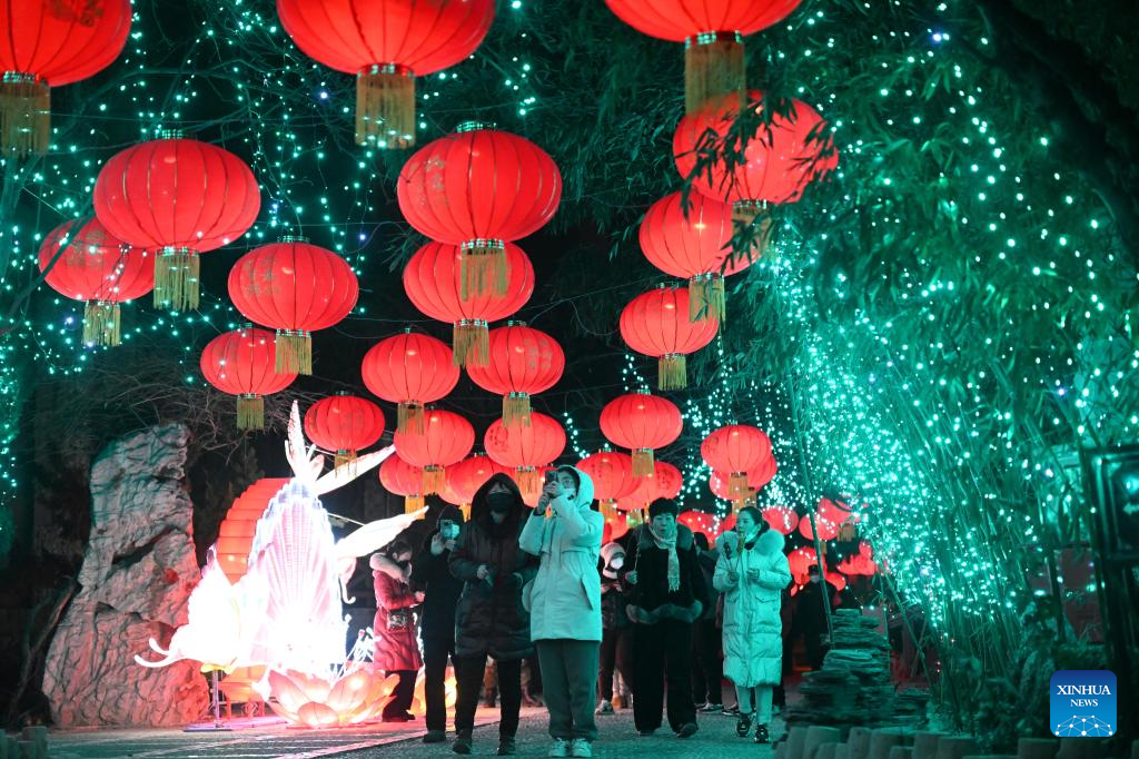 People tour lantern show during Spring Festival holiday in Tianjin, N China