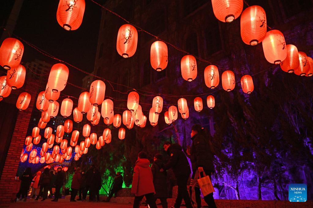 People tour lantern show during Spring Festival holiday in Tianjin, N China