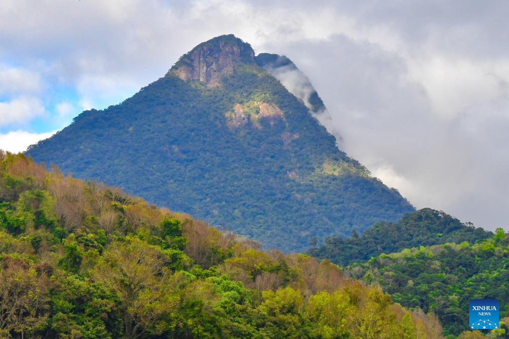 In pics: Wuzhishan section of Hainan Tropical Rainforest National Park