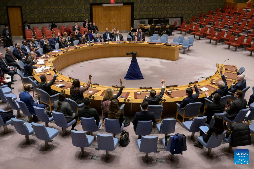 Security Council extends mandate of UN Peacekeeping Force in Cyprus