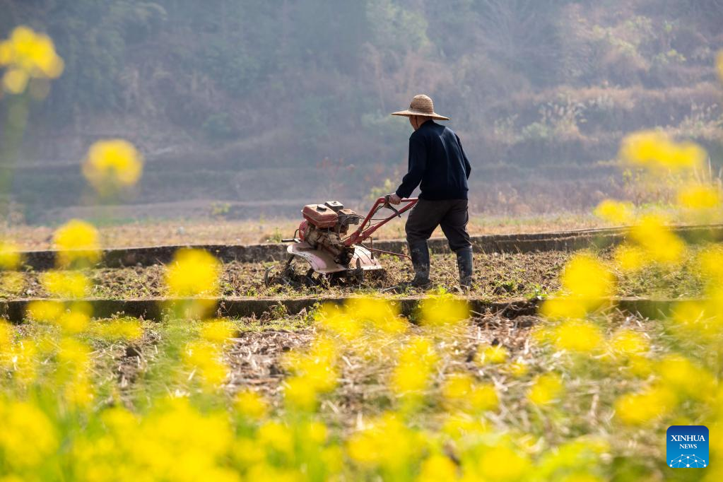 Spring farming underway across China