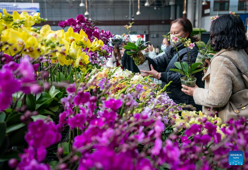 Kunming Dounan Flower Market, largest fresh cut flower trading market in Asia