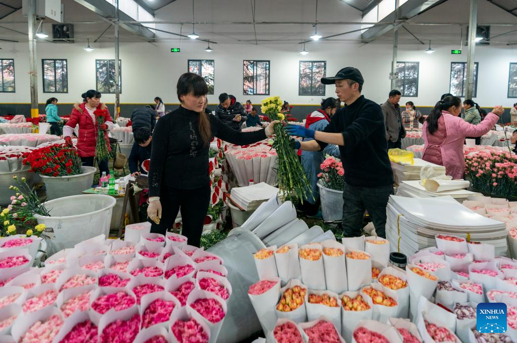 Kunming Dounan Flower Market, largest fresh cut flower trading market in Asia