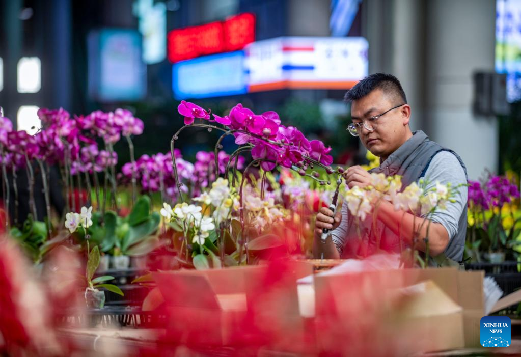 Kunming Dounan Flower Market, largest fresh cut flower trading market in Asia