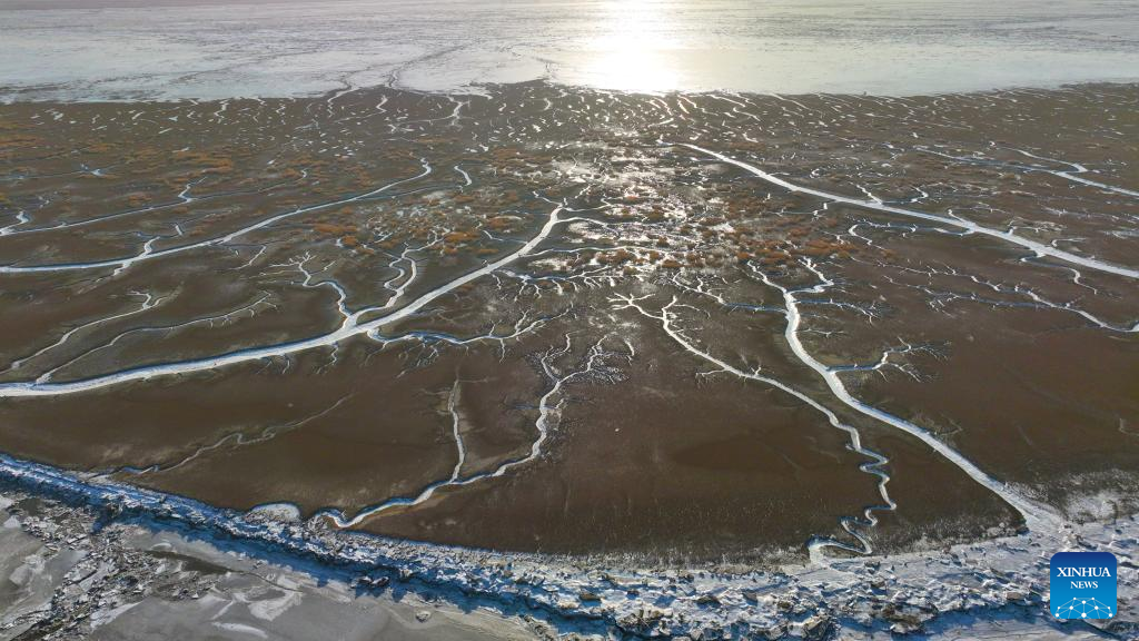 View of frozen tidal creeks in wetland of Liaohe River estuary in NE China