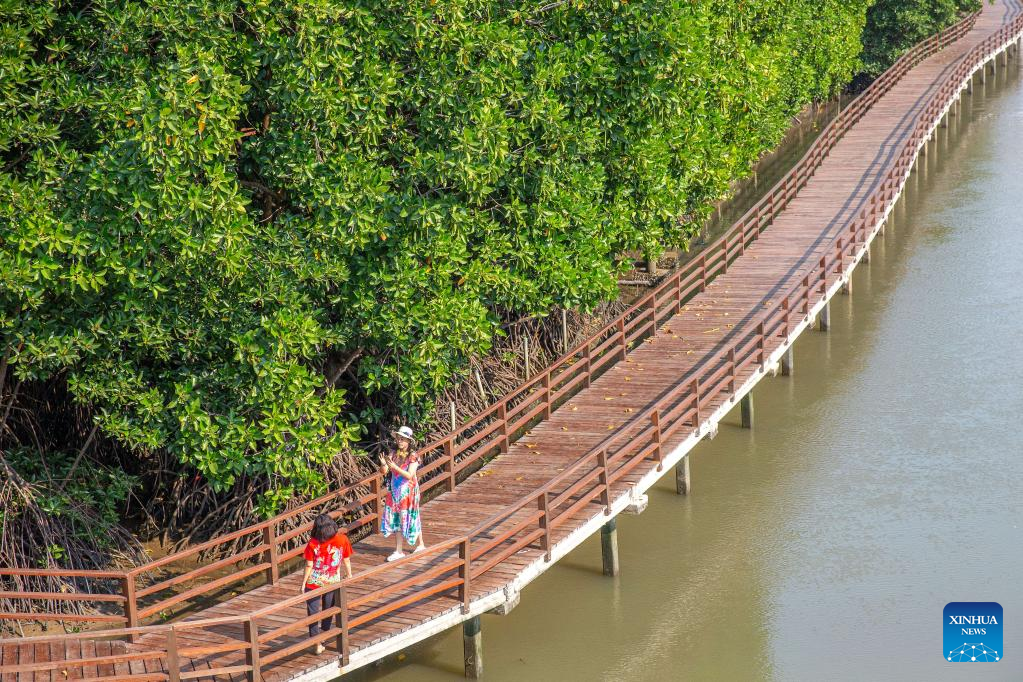In pics: mangrove wetland in Rayong, Thailand