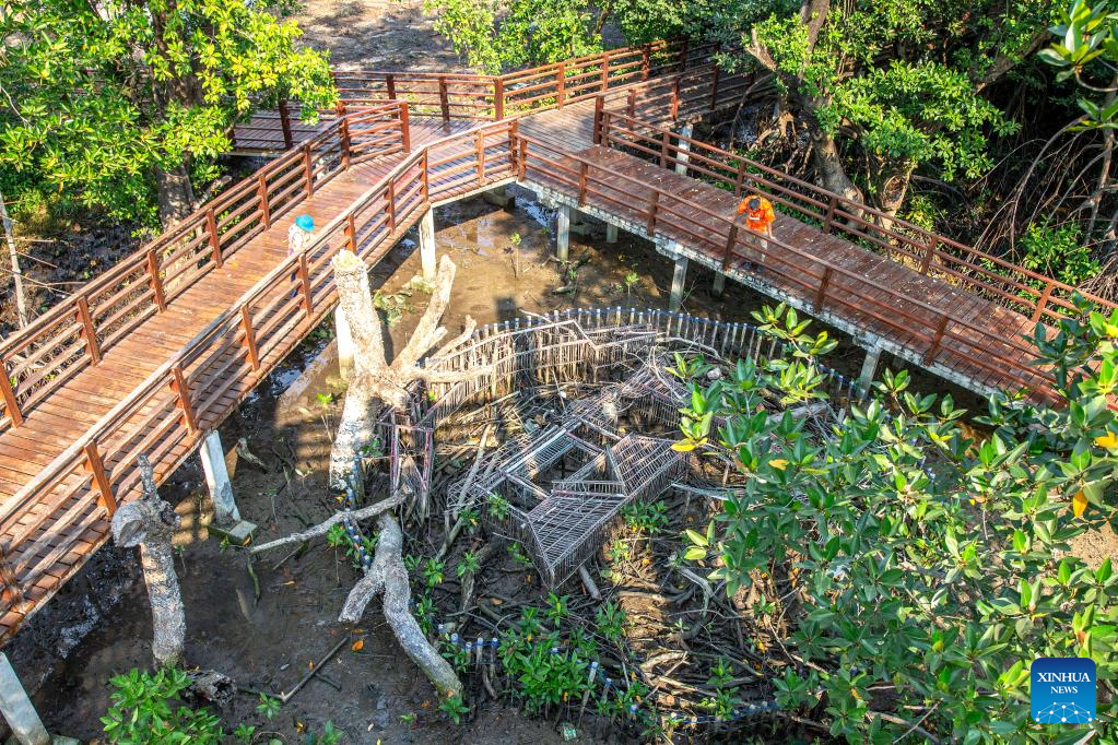 In pics: mangrove wetland in Rayong, Thailand