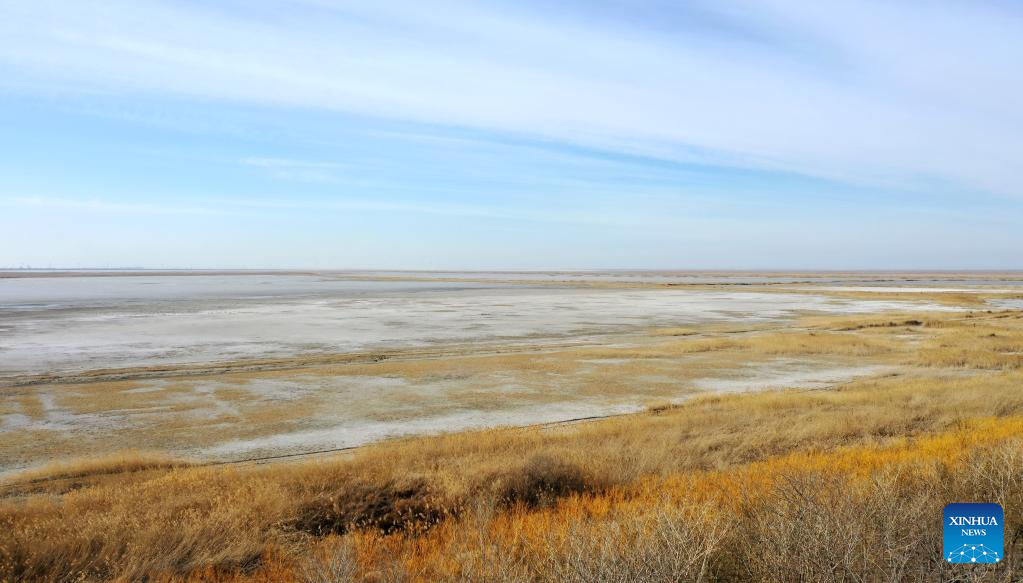 View of Beidagang Wetland in north China's Tianjin