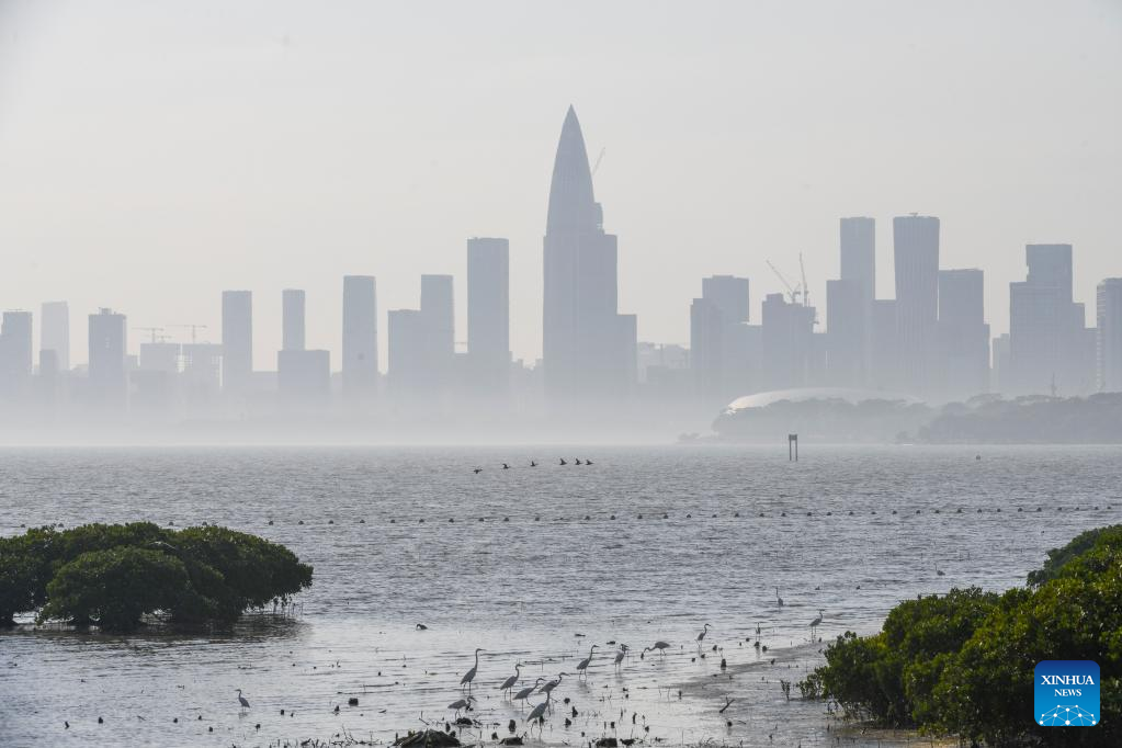 Shenzhen strives to build itself into international wetland city