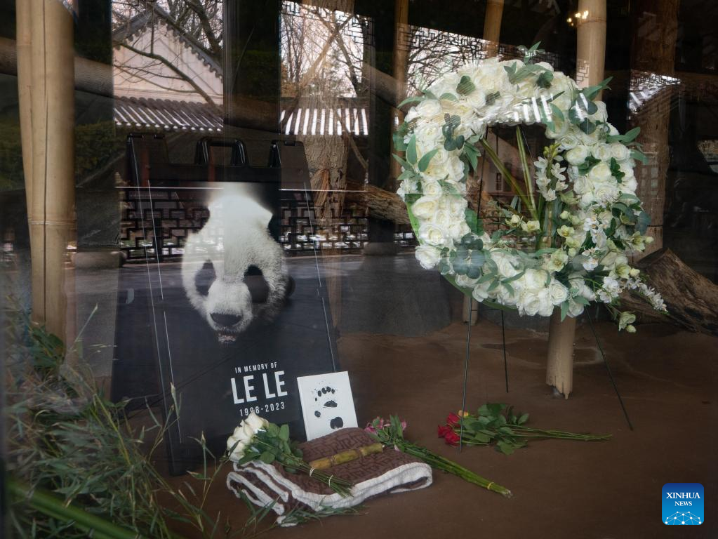 Giant panda Le Le dies at Memphis Zoo