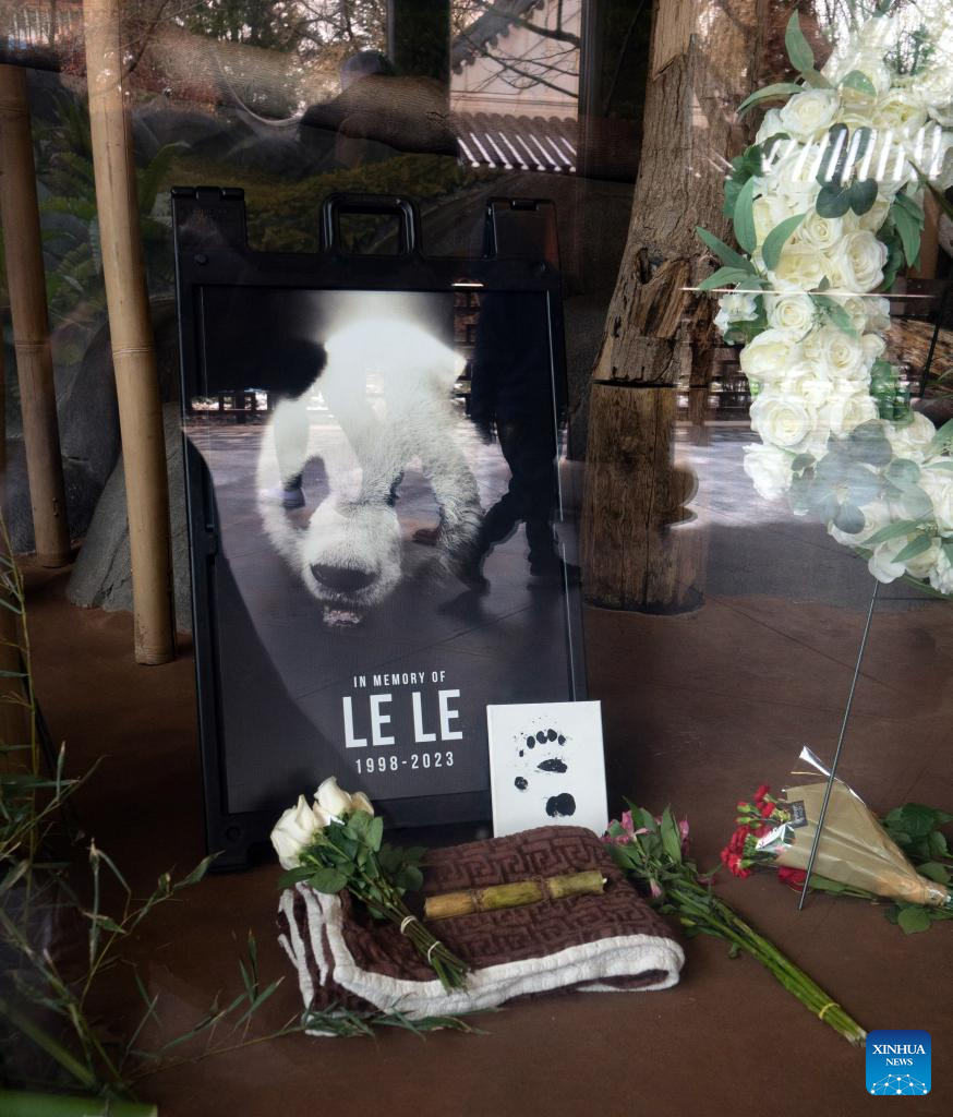 Giant panda Le Le dies at Memphis Zoo
