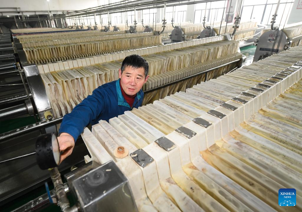 Rice wine produced with traditional method of brewing in Shaoxing, E China