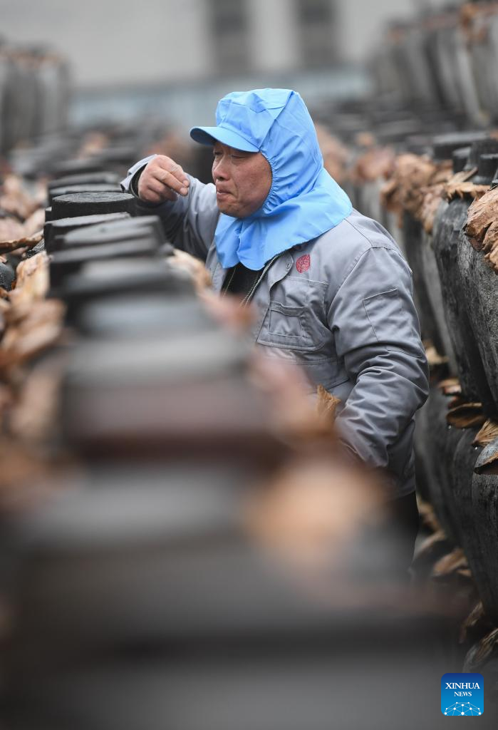 Rice wine produced with traditional method of brewing in Shaoxing, E China