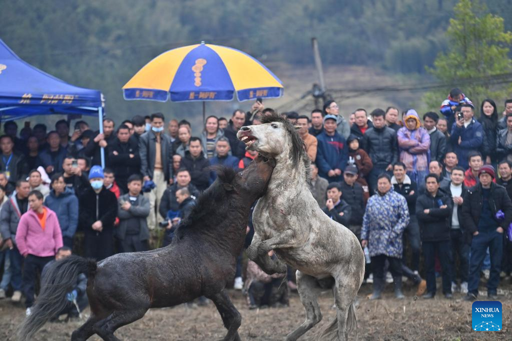 Various activities held to celebrate 