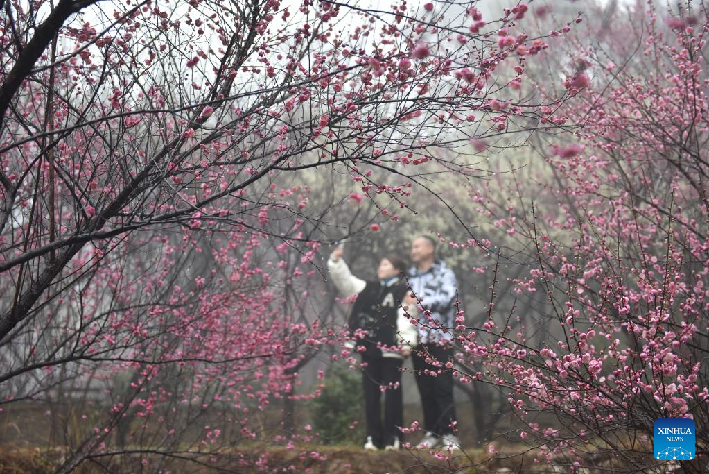 Various kinds of flowers blossom across China
