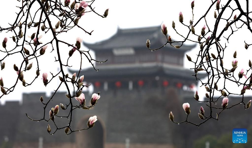 Various kinds of flowers blossom across China