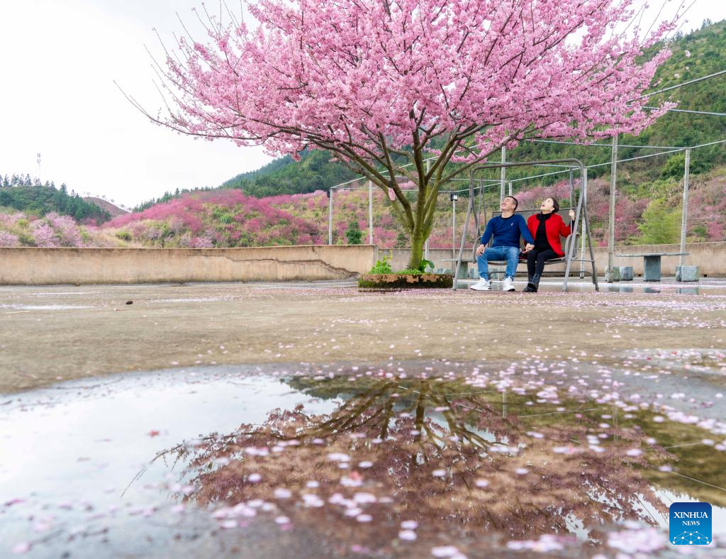 Various kinds of flowers blossom across China