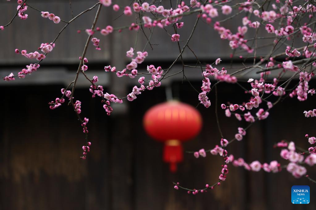 Various kinds of flowers blossom across China