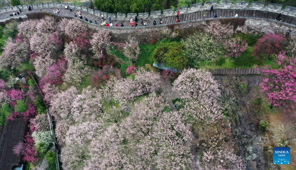 Various kinds of flowers blossom across China