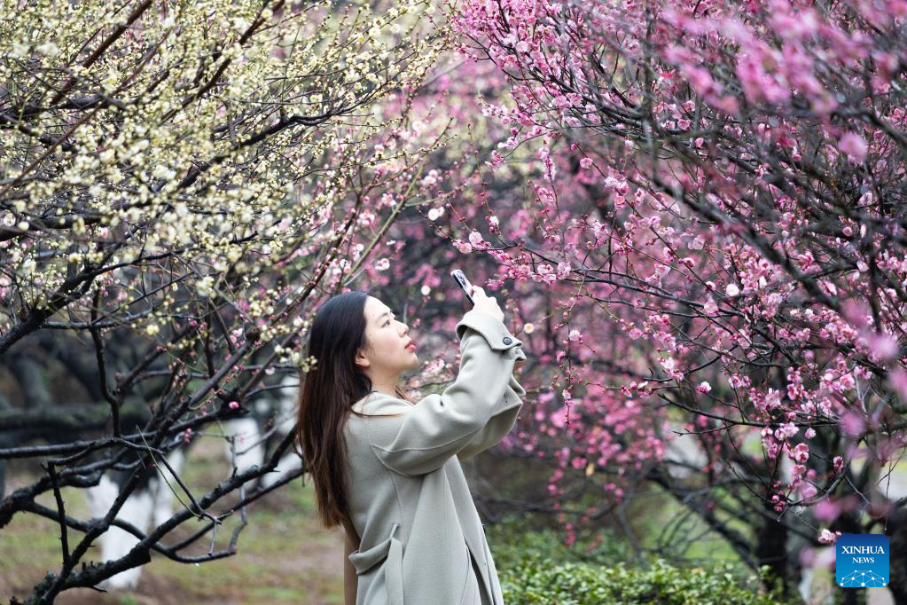 Various kinds of flowers blossom across China