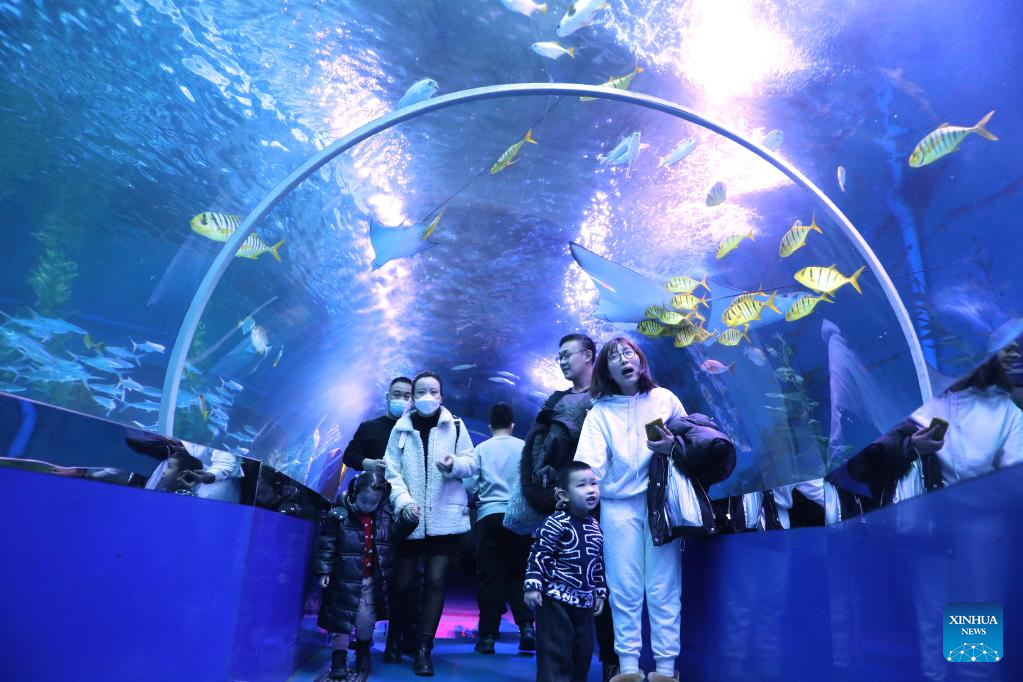 Tourists visit Royal Ocean Park in Shenyang, NE China's Liaoning