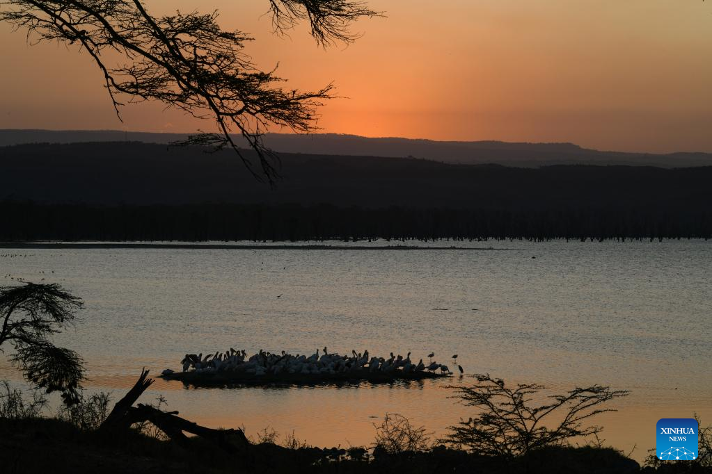 Scenery of Lake Nakuru National Park in Kenya
