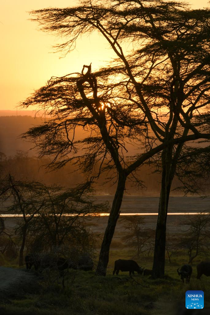 Scenery of Lake Nakuru National Park in Kenya