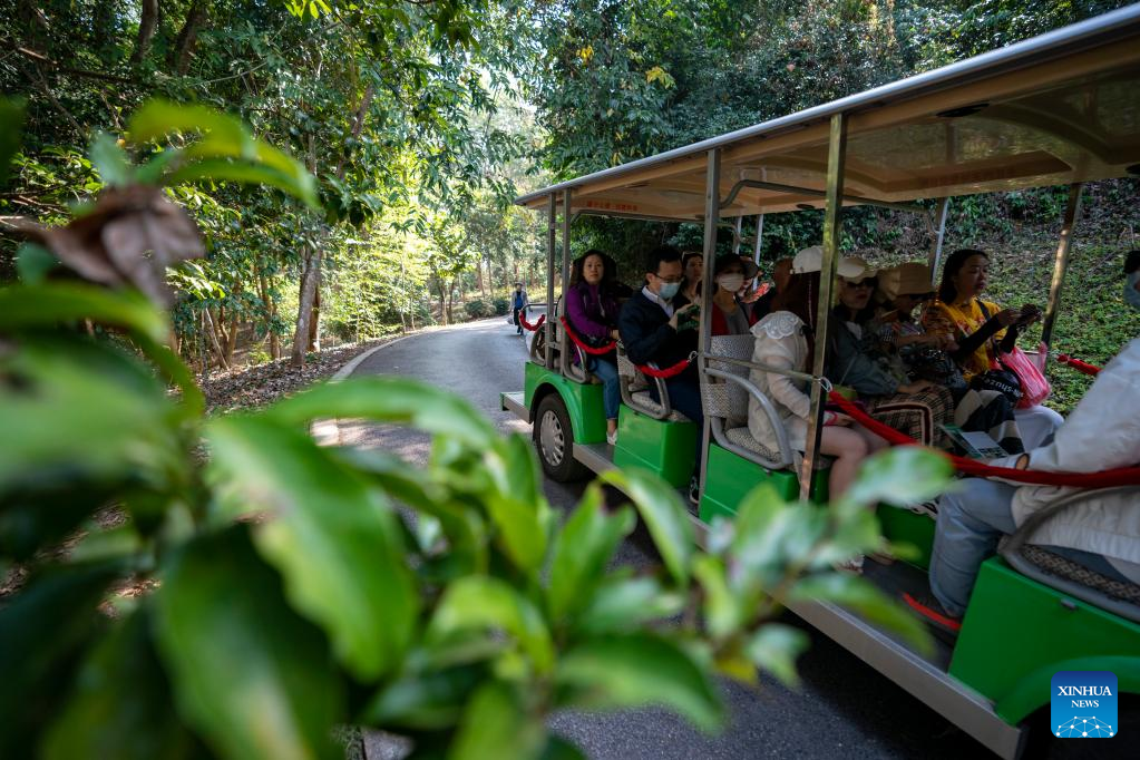 SW China's Xishuangbanna sees tourist visits up 554.51 pct y-o-y during Spring Festival