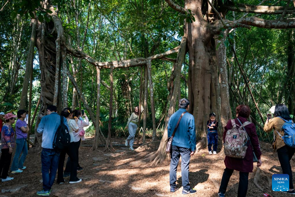 SW China's Xishuangbanna sees tourist visits up 554.51 pct y-o-y during Spring Festival