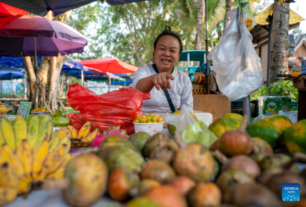 SW China's Xishuangbanna sees tourist visits up 554.51 pct y-o-y during Spring Festival