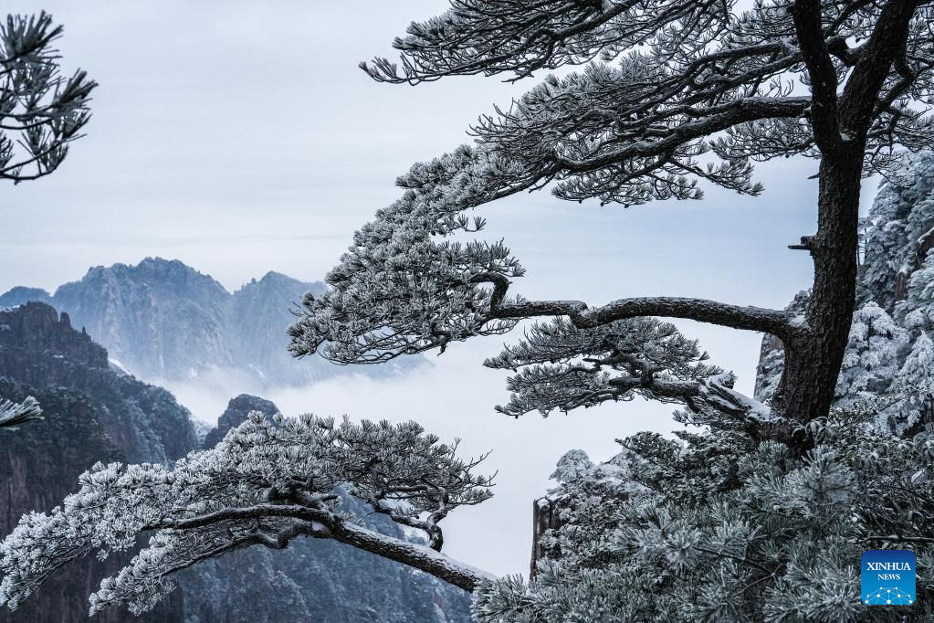 Rime scenery on Huangshan Mountain, E China