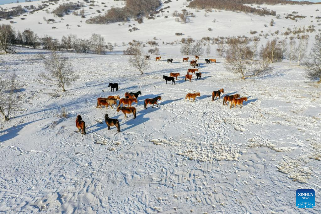 Winter scenery of Yudaokou pasture in Chengde, N China