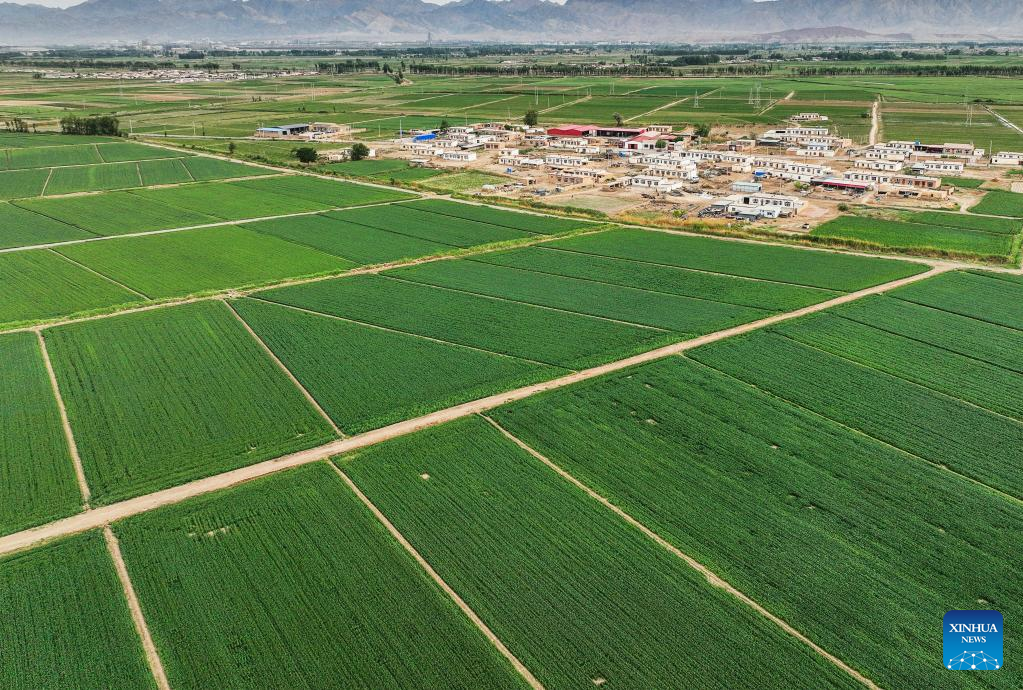 China's major grain producer develops high-standard farmland