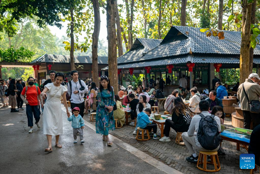 SW China's Xishuangbanna sees tourist visits up 554.51 pct y-o-y during Spring Festival