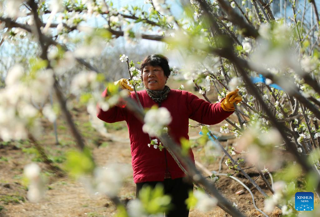 Spring farming underway across China