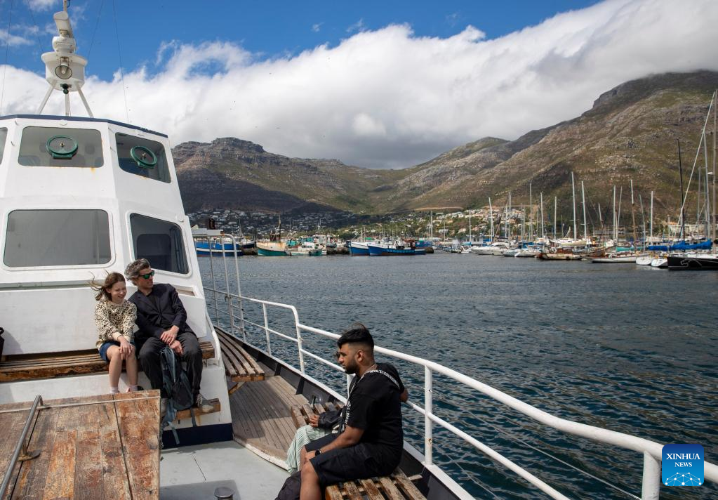 Tourists watch seals near Duiker Island in South Africa