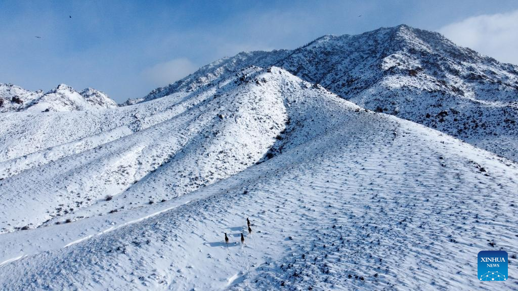 Scenery of snow-covered Helan Mountain National Nature Reserve in N China