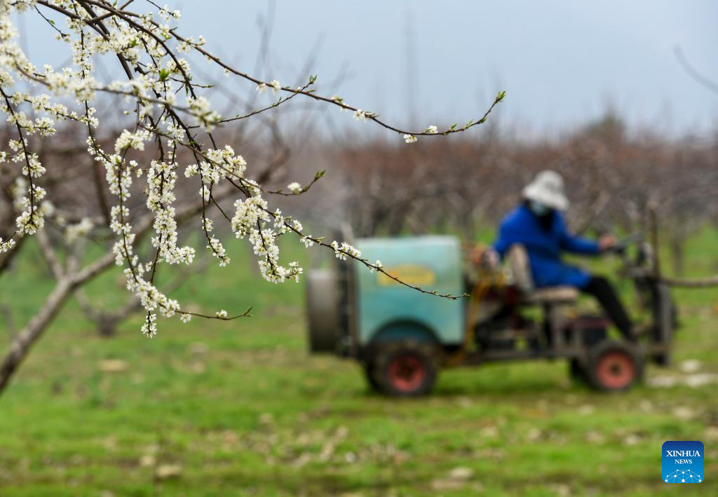Farmers busy with spring farming in China