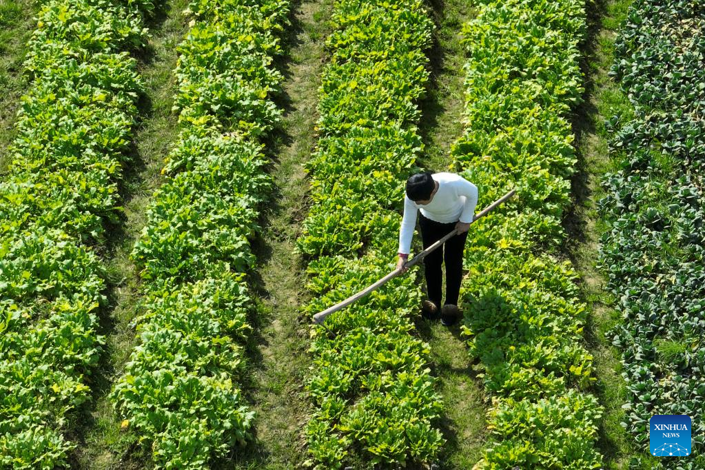 Farmers busy with spring farming in China