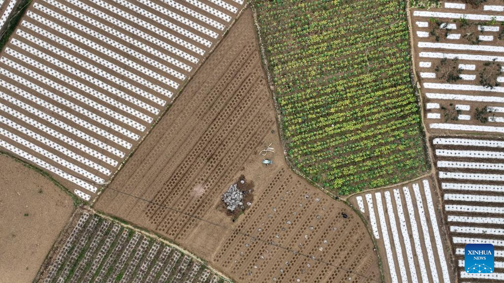 Farmers busy with spring farming in China