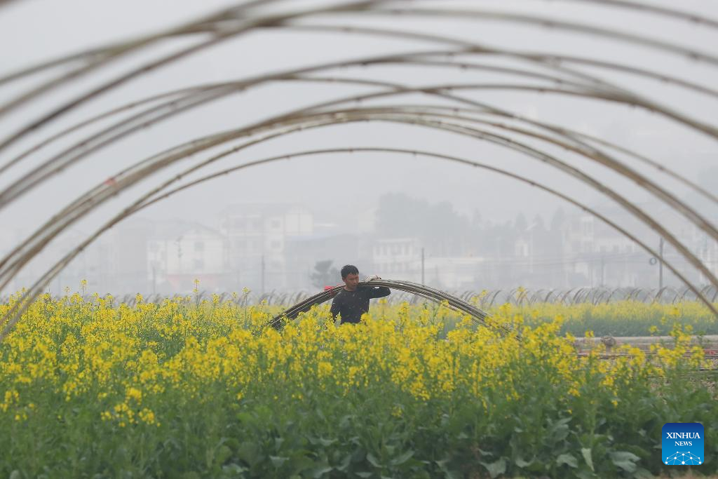 Farmers busy with spring farming in China