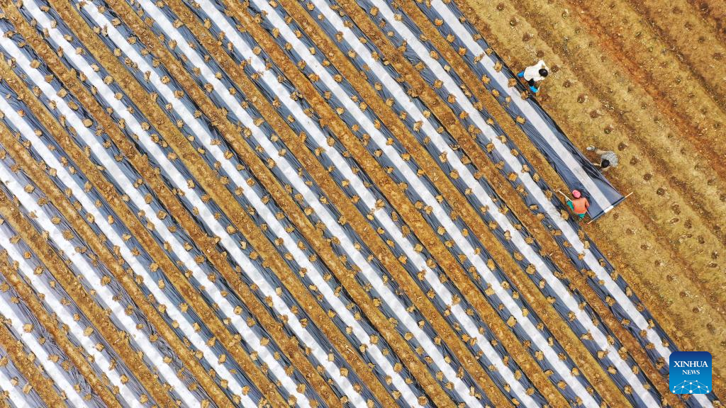 Farmers busy with spring farming in China