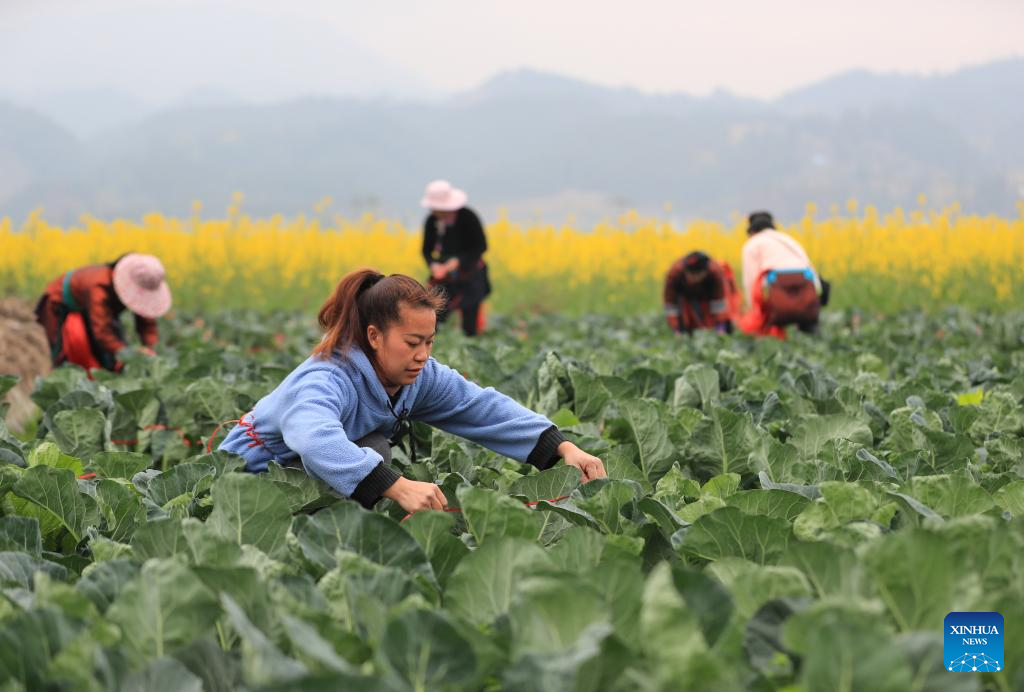 Farmers busy with spring farming in China