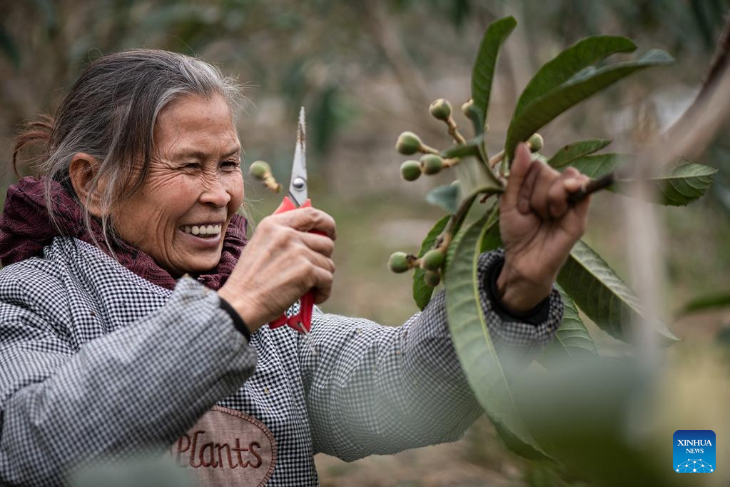 Farmers busy with spring farming in China