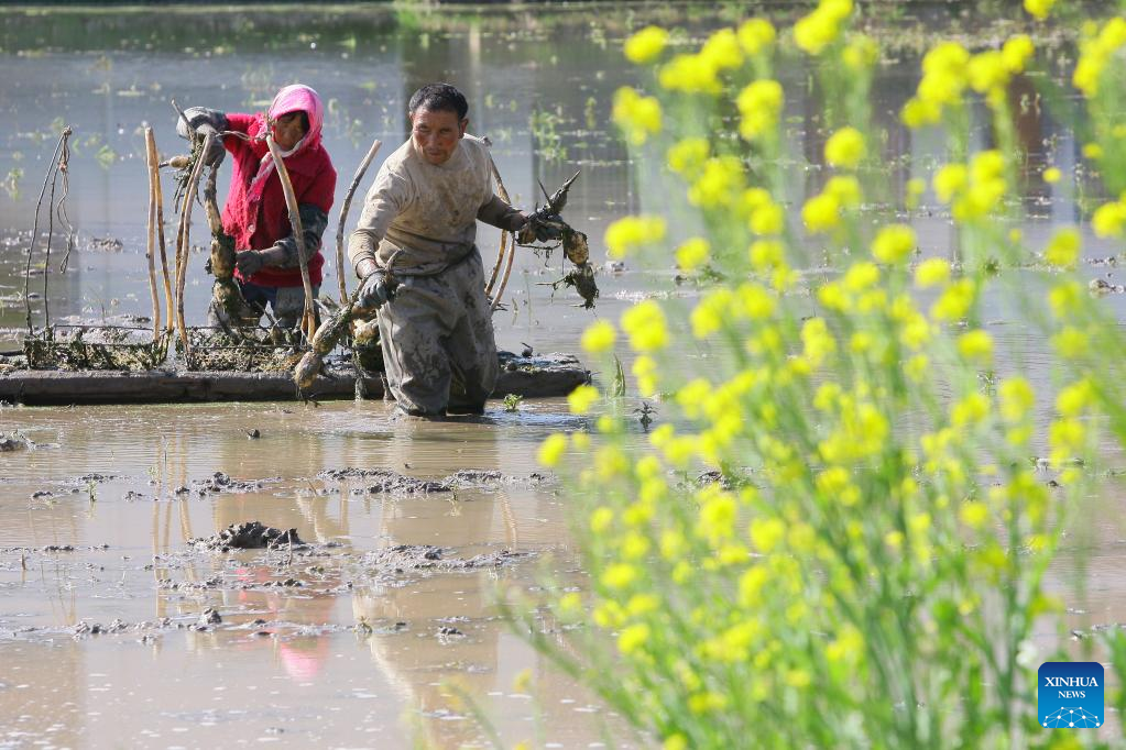 Farmers busy with spring farming in China