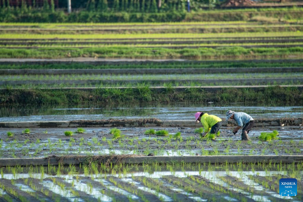 Farmers busy with spring farming in China
