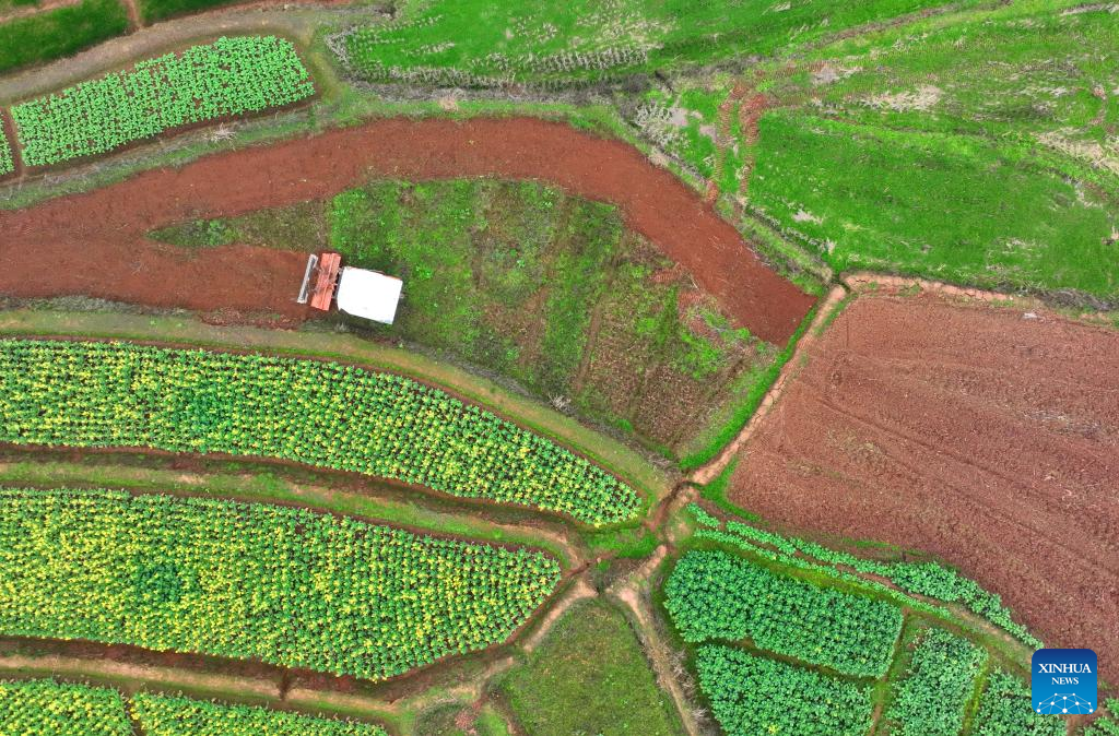 Farmers busy with spring farming in China