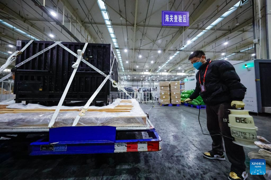 Japan-born giant panda Xiang Xiang returns to China